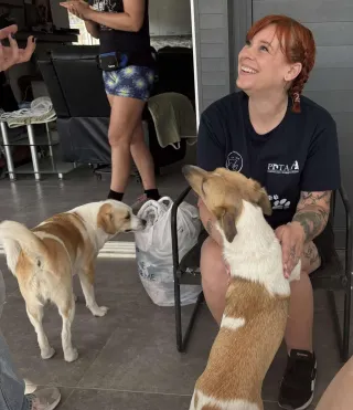 When loving a rescue isn't easy