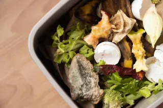 Safe and Effective Ways to Dispose of Kitchen Waste