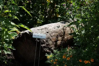 Certified Wildlife Habitat at Deschutes Brewery

