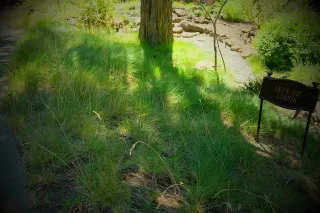 Central Oregon High Desert Garden Tour 2017