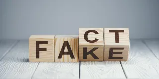 Election brings misinformation storm