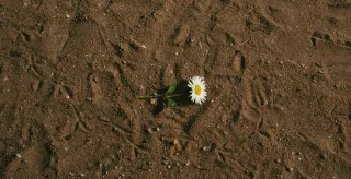 The Gift of Resilience