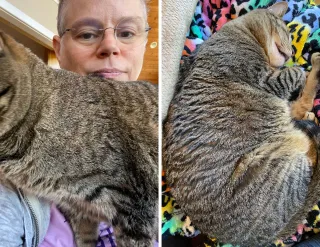 Weight Loss Lessons From Cats? Say What?