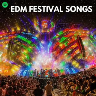  Top Summer EDM Festival Songs 2025