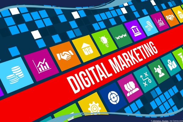 Freelancer vs Agency vs Employee for Digital Marketing