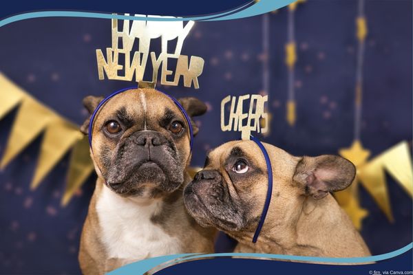 2025 Marketing Year in Review: What Actually Worked