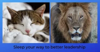 Sleep Your Way to Better Leadership

