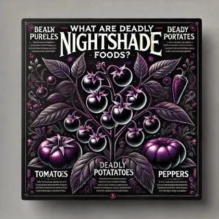 What are Deadly Nightshade Foods?