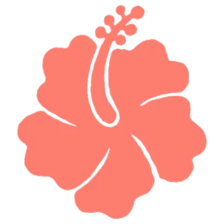 FAQ image