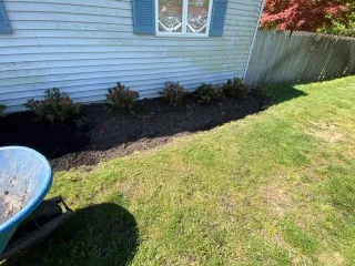 Top Perennials That Thrive in Monmouth County’s Climate