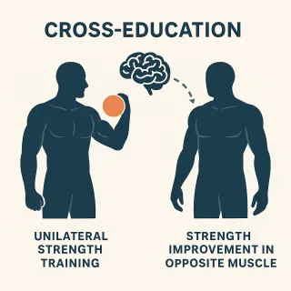 Cross-education