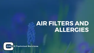 Air Filters and Allergies
