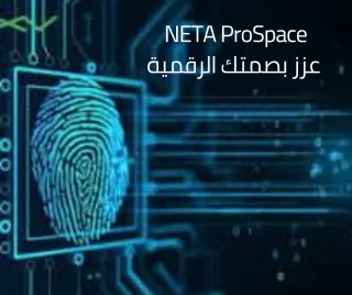 باقات نيتا المخصصة