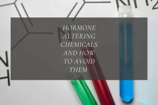 Disruptors Affecting Your Hormones