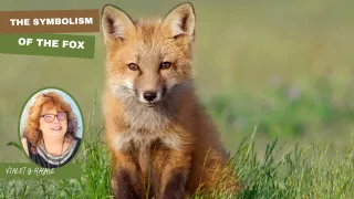 The Wisdom of the Fox: Cunning, Camouflage & the Dance of Divine Timing