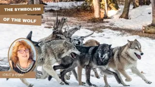 The Spirit of the Wolf: Intuition, Loyalty & the Sacred Path of the Pack
