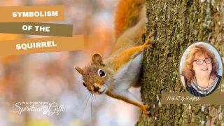 Symbolism of Squirrel