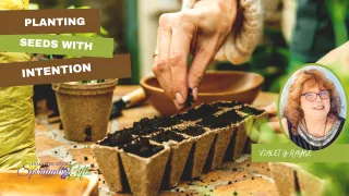 Planting Seeds with Intention