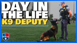 Ride Along with Deputy Gonzalez and K9 Ace