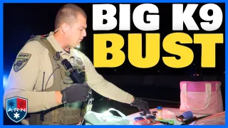 What This K9 Found Shocked Everybody