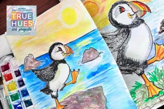 Have you ever seen a bird that looks like a penguin, flies like a hummingbird, and swims like a fish?