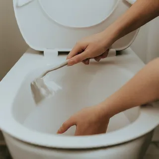 Keep toilet white and sparking
