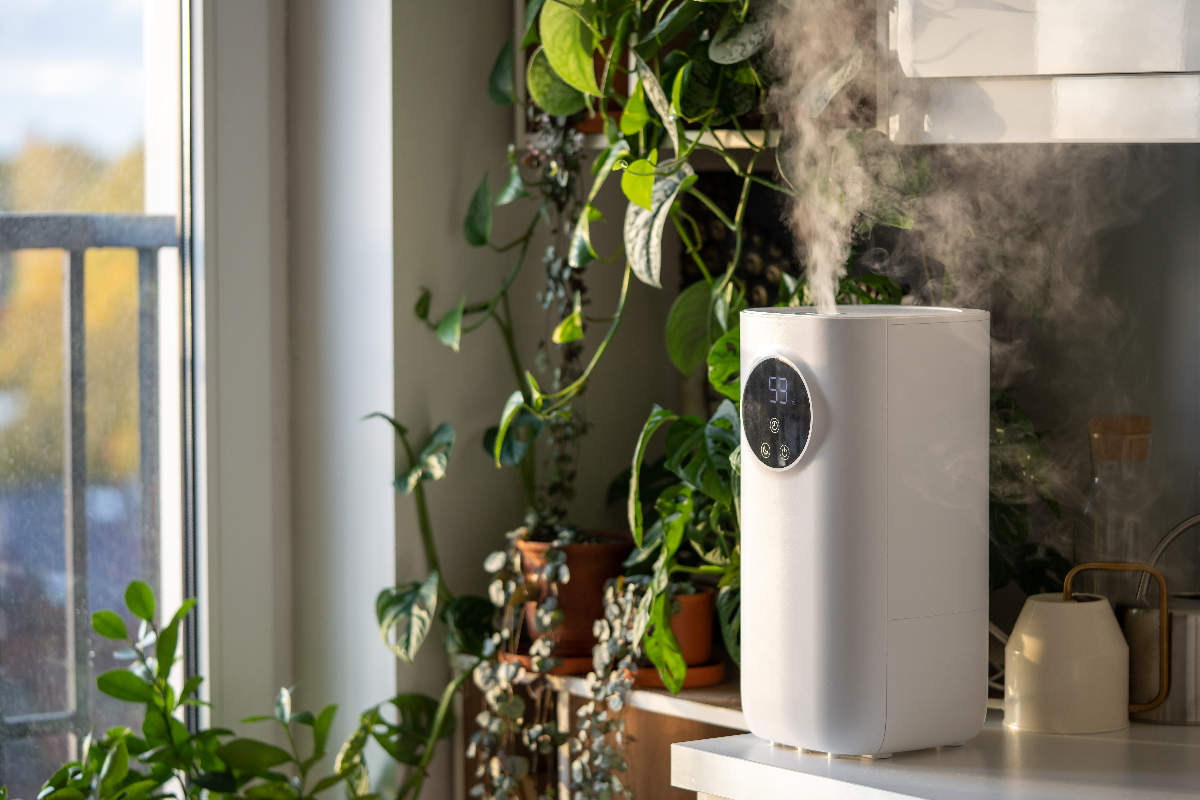7 Dangerous Myths About Indoor Air Quality in Your Home — Debunked by Local HVAC Experts