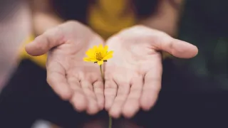 3 Cool Things You Need to Know about Reiki!