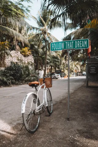Dreams Developed
