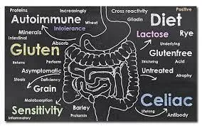 Why ALL Disease Begins In The Gut