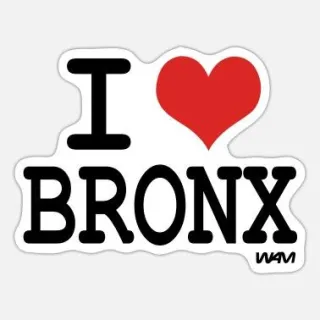 10 Things About Bronx Single Family Homes That You’ll Love If You Want To Purchase A Home In The Bronx
