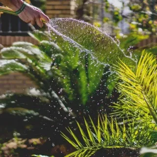 Designing A Water-Wise Landscape For Your Greenville Property