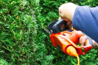 Mower Maintenance: Keeping Your Equipment Ready for Lawn Mowing in Greenville