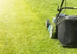 Tailored Mowing Approaches for Different Grass Varieties