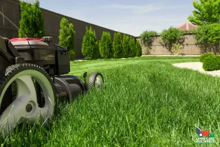 Why Investing in Professional Lawn Care Services Pays Off