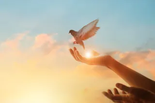 How to Tap into Your Soul’s Purpose Using the
Akashic Records
