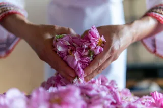 How Gratitude Can Shift Your Energy and Attract Abundance