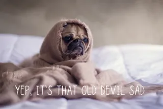 Yep, it’s that old devil SAD