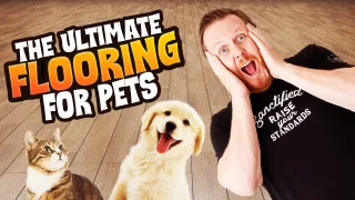 Exploring Pet Friendly Flooring Options