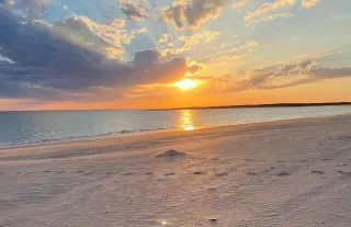 It’s Summer… Why Am I So Tired?