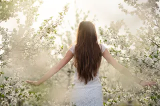 From Winter to Spring: A Season of Awakening