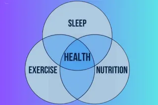B11- The Importance of Sleep, Nutrition, and Exercise for GCSE Performance