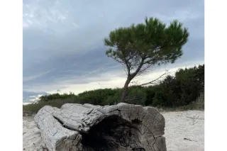 Blue Zone Sardinien: das Geheimnis der Hundertjährigen