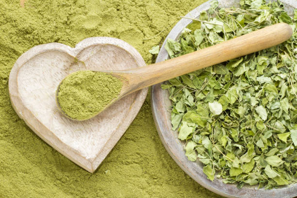 Les Plantes Médicinales Berbères: Puissance Naturelle au Service de la Féminité, avec les Bienfaits des Feuilles de Cèdre