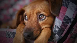 Are You Turning Away Your Ideal Clients Without Realising It