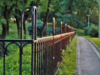 Chinquapin Run Park: Your Urban Escape in Baltimore