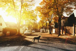 Discover Cherry Hill: A Hidden Gem in Baltimore