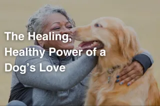 The Healing, Healthy Power of a Dog’s Love
