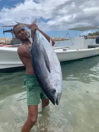 Oceano