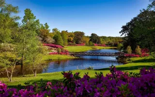 The Ultimate Guide to Landscaping in 2025 | Costs & Tips